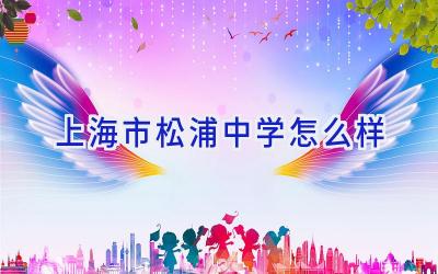 上海市松浦中学怎么样插图