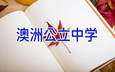 澳洲公立中学插图
