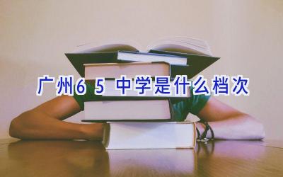 广州65中学是什么档次插图