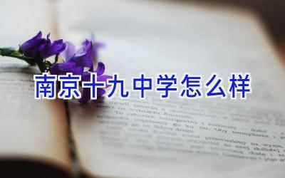 南京十九中学怎么样插图