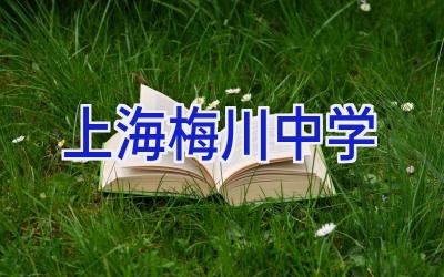 上海梅川中学