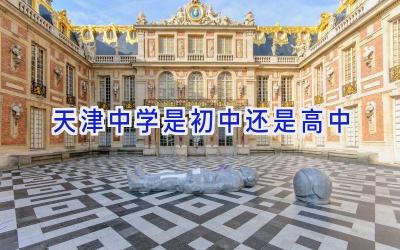 天津中学是初中还是高中插图
