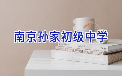 南京孙家初级中学插图