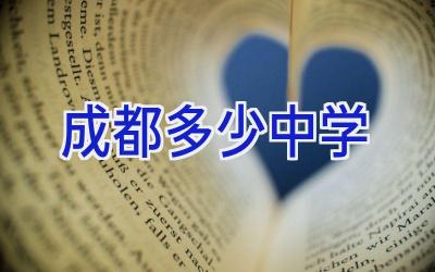 成都多少中学插图