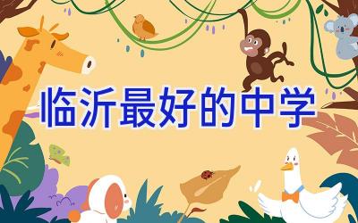 临沂最好的中学插图