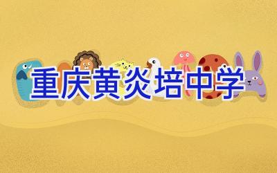 重庆黄炎培中学插图