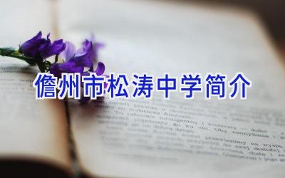 儋州市松涛中学简介插图