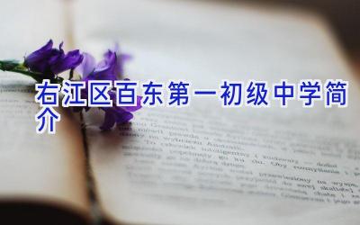 右江区百东第一初级中学简介插图