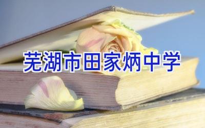 芜湖市田家炳中学插图