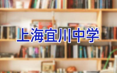 上海宜川中学插图
