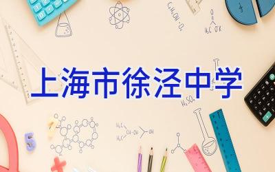 上海市徐泾中学插图