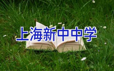 上海新中中学插图
