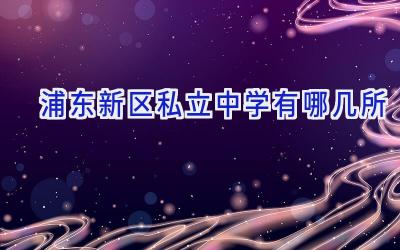 浦东新区私立中学有哪几所插图