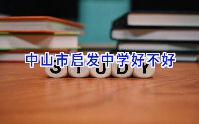 中山市启发中学好不好