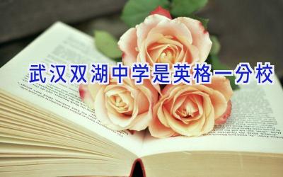 武汉双湖中学是英格一分校插图