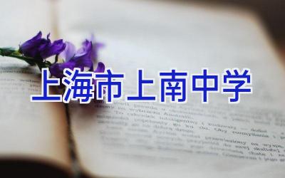 上海市上南中学插图