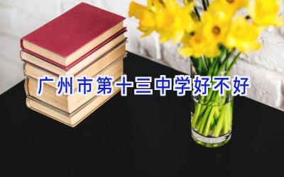 广州市第十三中学好不好插图