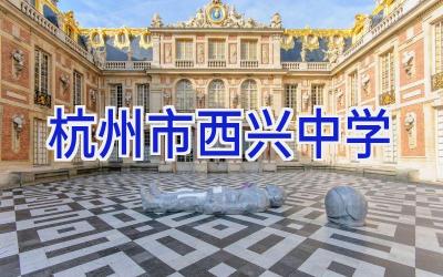 杭州市西兴中学插图