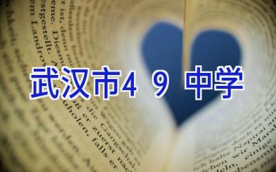 武汉市49中学插图