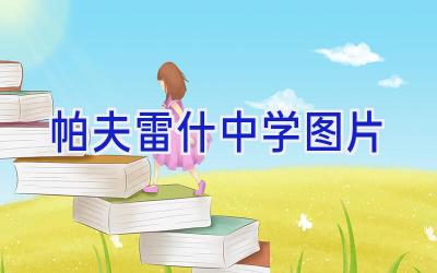 帕夫雷什中学图片插图