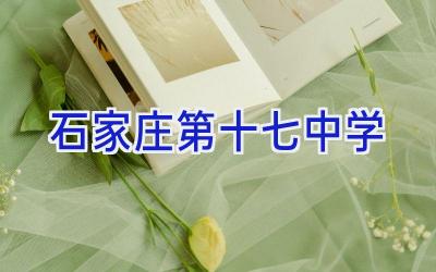 石家庄第十七中学插图