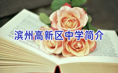 滨州高新区中学简介