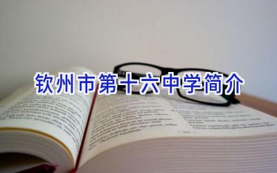 钦州市第十六中学简介插图