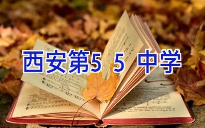 西安第55中学插图