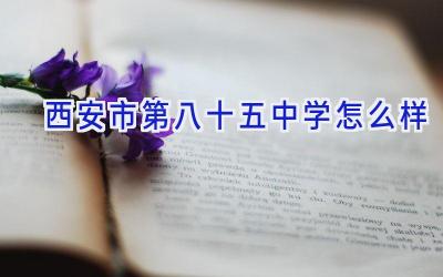 西安市第八十五中学怎么样插图