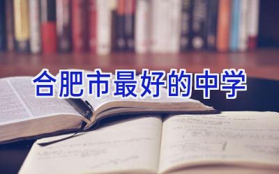 合肥市最好的中学插图