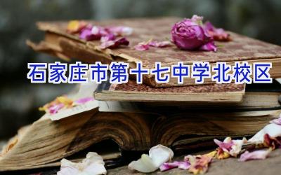 石家庄市第十七中学北校区插图