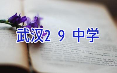 武汉29中学插图