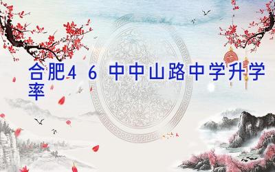 合肥46中中山路中学升学率插图