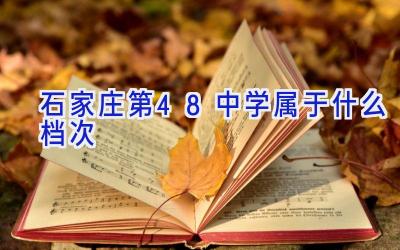 石家庄第48中学属于什么档次插图