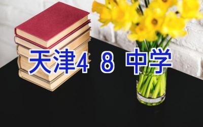 天津48中学插图