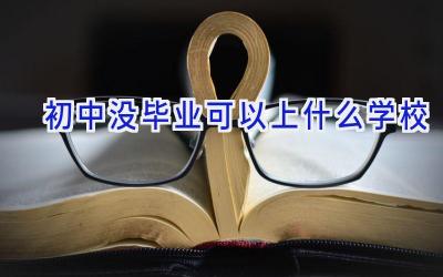 初中没毕业可以上什么学校插图