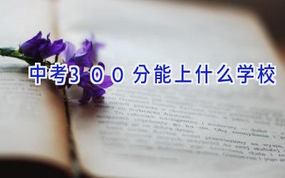 中考300分能上什么学校插图