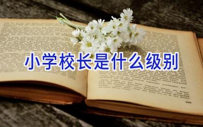 小学校长是什么级别插图