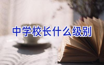 中学校长什么级别插图