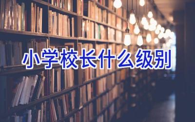 小学校长什么级别插图