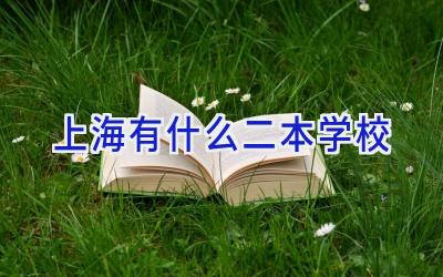 上海有什么二本学校插图