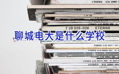 聊城电大是什么学校插图