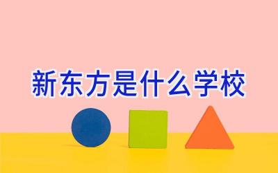 新东方是什么学校插图