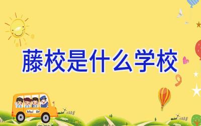 藤校是什么学校插图