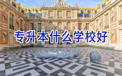 专升本什么学校好插图