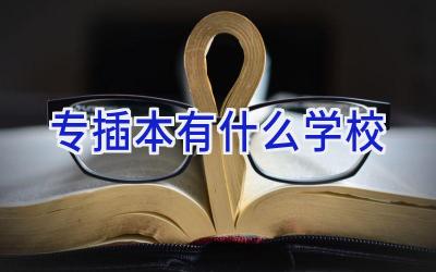 专插本有什么学校插图