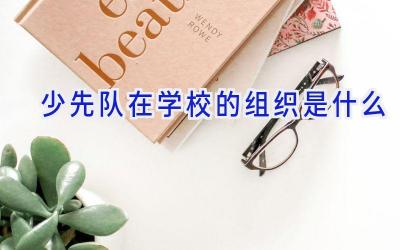少先队在学校的组织是什么插图