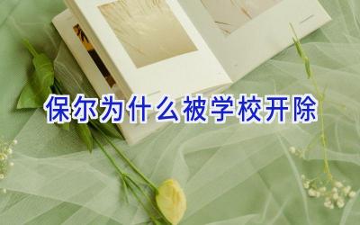 保尔为什么被学校开除插图