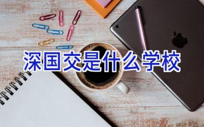 深国交是什么学校插图