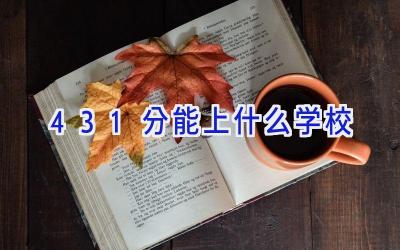 431分能上什么学校插图